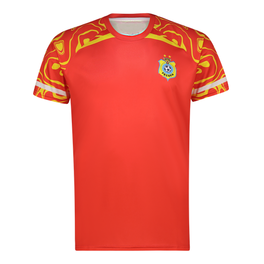 New Leopards Jersey.  New DRC National soccer team . Nouvelles Vareuses RDC. Léopards du Congo . Congolese soccer . Congo jersey. Congo shirt . Congo maillot de football. Equipe nationale du Congo. CAF Congo Kinshasa